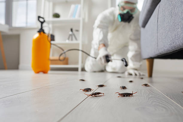 Commercial Rodent Management in Deer Park